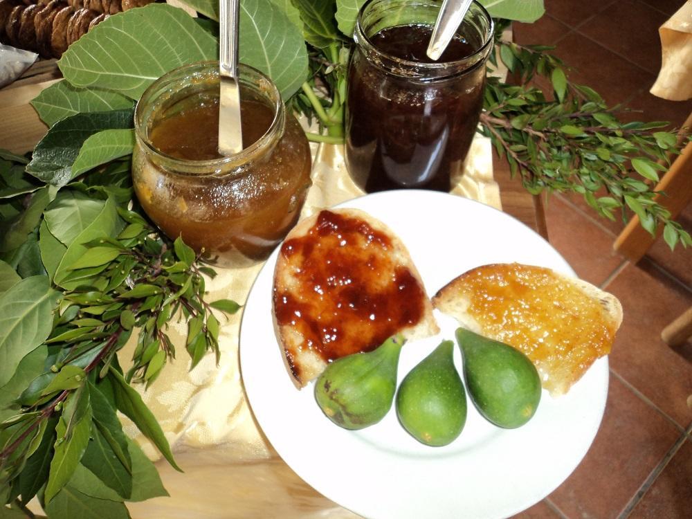 Agriturismo Aurella 阿谢亚 外观 照片