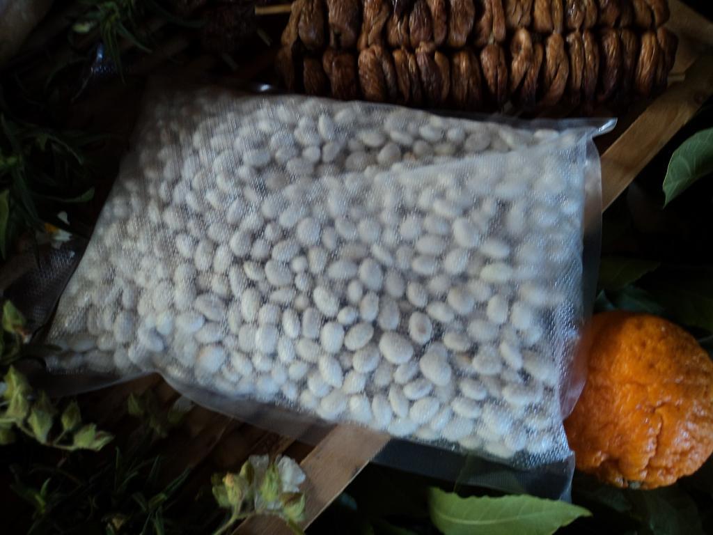 Agriturismo Aurella 阿谢亚 外观 照片