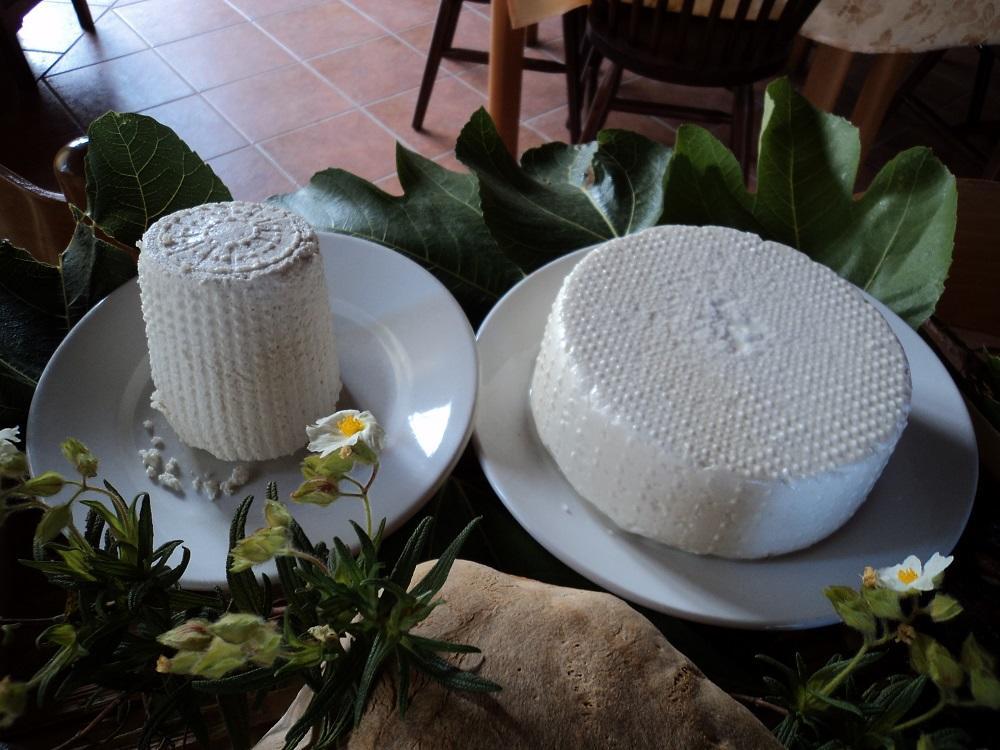 Agriturismo Aurella 阿谢亚 外观 照片