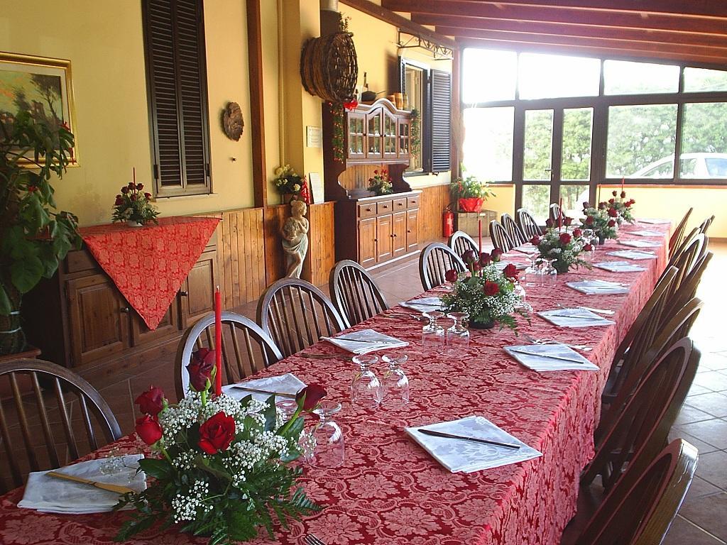 Agriturismo Aurella 阿谢亚 外观 照片